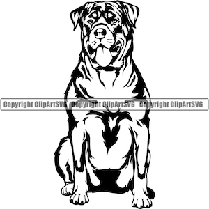 Rottweiler Hondenras Zitten Zittend Dier Huisdier Canine Stamboom Puppy Rasechte Hound Rotty Art Design Logo SVG PNG Clipart Vector Knippen Snijden