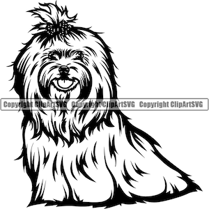 Race de chien maltais assis assis chiot chiot animal de compagnie Yorkie Yorkshire Terrier Lhassa Apso Shih Tzu Bichon frisé bichon havanais Logo SVG Clipart coupe coupe