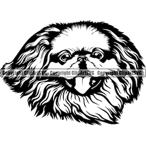 Pekinees hondenras Happy Head Face Stamboom Canine Rasechte huisdier Pommeren Papillon Bichon Frise Logo SVG PNG Clipart Vector Knippen