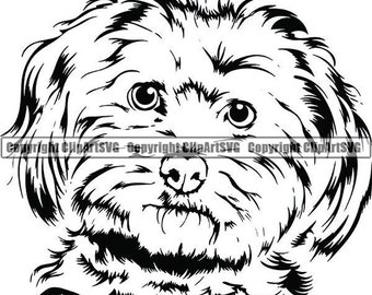 May include: Black and white line art illustration of a dog's head. The dog has fluffy hair and big eyes.