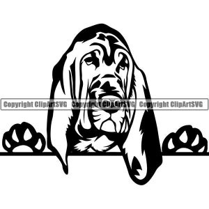 Bloodhound #7 Peeking Dog Paw Puppy Pet Breed K-9 Canine Purebred Pedigree Hound Design Logo .SVG .PNG Clipart Vector Cricut Cut Cutting