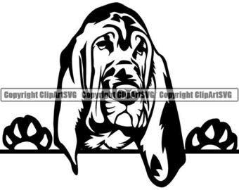May include: Black and white illustration of a Bloodhound dog peeking over a surface with its paws on either side.