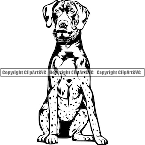 Deutsch Kurzhaar Hund Sit sitzend Rasse Glücklich Pfote Welpe Welpe Haustier Englisch Weimaraner Vizsla Logo SVG PNG Clipart Vektor Schneiden Schneiden