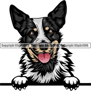 Australian Cattle Dog Peeking Peek-A-Boo Breed Happy Face Puppy Animal Pet Pedigree Color Art Artwork Design Logo JPG PNG SVG Clipart Vector