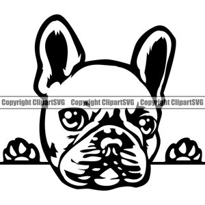 Französische Bulldogge #29 Spähen Pfoten Niedliche Zunge Hunderasse K-9 Tier Haustier Welpe Canine Stammbaum Logo .SVG .PNG Clipart Vektor Cricut Cut Cutting