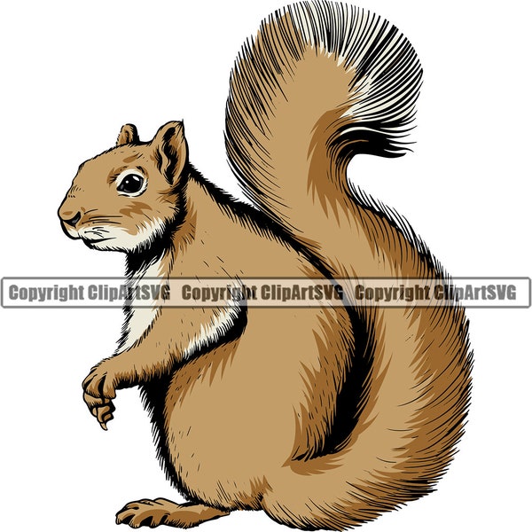 Squirrel Pet Rodent Wild Animal Nature Mammal Cute Fluffy Cage Domestic Wildlife Farm Fur Nut Design Logo SVG PNG Clipart Vector Cut Cutting