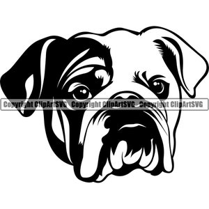 English Bulldog Dog Breed Smiling Head Happy Head Paw Puppy Pup Pet Art Cartoon Cute Rescue Logo SVG PNG Clipart Vector Cricut Cut Cutting