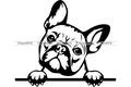 French Bulldog #29 Peeking Paws Cute Tongue Dog Breed K-9 Animal Pet Puppy Canine Pedigree Logo .SVG .PNG Clipart Vector Cricut Cut Cutting