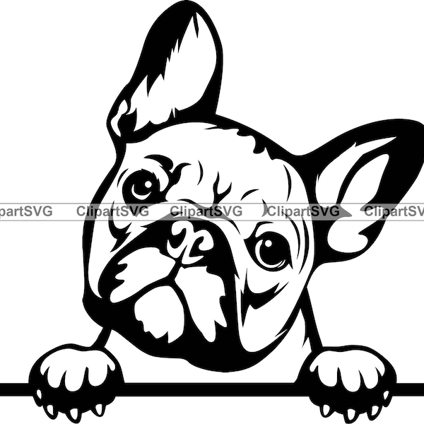 Französische Bulldogge #29 Spähen Pfoten Niedliche Zunge Hunderasse K-9 Tier Haustier Welpe Canine Stammbaum Logo .SVG .PNG Clipart Vektor Cricut Cut Cutting