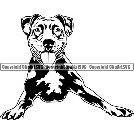 Pedigree american pitbull terrier hot sale