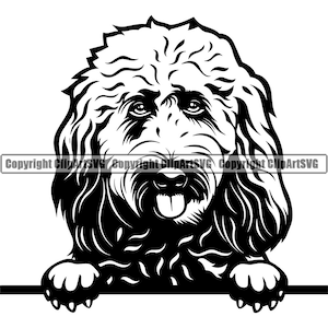 Goldendoodle Hunderasse Spähen Peek-A-Boo Welpe Welpe Haustier Reinrassige Ahnentafel Golden Retriever Pudel Logo SVG PNG Clipart Vektor Schneiden Schneiden