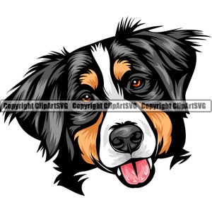 Berner Sennenhund Rasse Glückliches Gesicht Welpe Tier Haustier Stammbaum Reinrassiger Hund K-9 Farbe Art Artwork Design Logo JPG PNG SVG Clipart Vektor