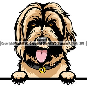 Labradoodle hondenras gluren Peek-A-Boo Happy Puppy dier huisdier stamboom raszuivere Canine Art kleur Logo SVG PNG Clipart Vector knippen snijden