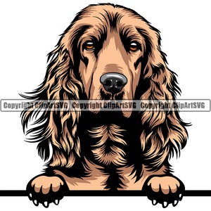Cocker Spaniel Dog Breed Peeking Peek-A-Boo Paw Puppy Pup Pet K-9 Art English Cockapoo Color Artwork Logo SVG PNG Clipart Vector Cut Cutting