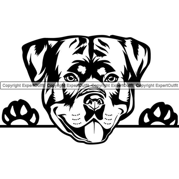 Rottweiler #82 Peeking Dog Breed Animal Pet Guard Security Canine Pedigree Puppy Hound Logo .SVG .PNG Clipart Vector Cricut Cut Cutting File