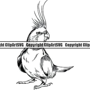 Calopsitte #1 animal de compagnie oiseau faune perroquet topique domestique perroquet bec plumes perruche perche Logo. SVG. PNG vecteur Clipart Cricut coupe coupe
