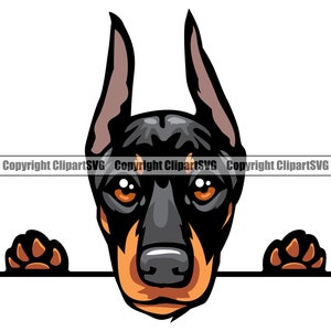 Doberman Pinscher Dog Peeking Peek-A-Boo Breed Paw Puppy Pup Pet K-9 Great Dane Miniature Color Art Logo SVG PNG Clipart Vector Cut Cutting