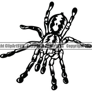 May include: Black and white silhouette of a tarantula spider with eight legs and hairy body.