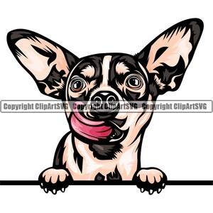 Chihuahua hondenras gluren Peek-A-Boo gelukkig puppy huisdier lang kort haar kleur artwork Papillon Yorkshire Yorkie logo PNG SVG clipart vector