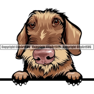 Dachshund Dog Breed Peeking Peek-A-Boo Happy Face Puppy Animal Pet Color Artwork Hound Wiener Hot Dog Design Logo PNG SVG Clipart Vector