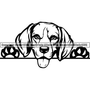 May include: Black and white illustration of a beagle dog peeking over a surface with its paws on either side. The dog has a tongue sticking out.