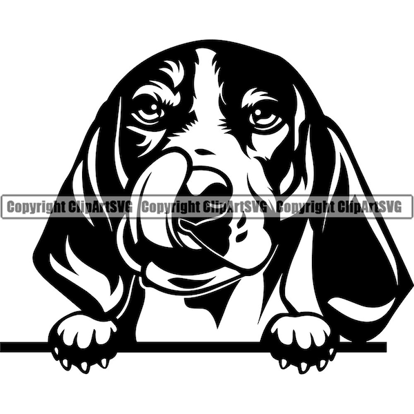 Beagle Dog Peeking Peek-A-Boo Happy Breed Paw Puppy Pup Pet Art Artwork K9 Bloodhound Basset Hound Logo SVG PNG Clipart Vector Cut Cutting