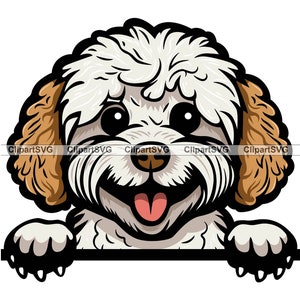 Poochon Smiling Peeking Dog Cute Puppy Head Canine Pet Bichon Frise Toy Poodle Portrait Paw Print Drawing Art Logo Tattoo Design SVG PNG Cut