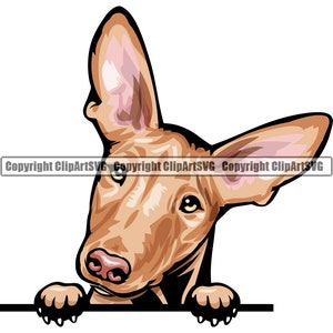 Farao Hound Dog gluren Peek-A-Boo Ras glimlachend Puppy dier huisdier Hound Canine Ibizan Basenji Art Artwork Logo JPG PNG SVG Clipart Vector