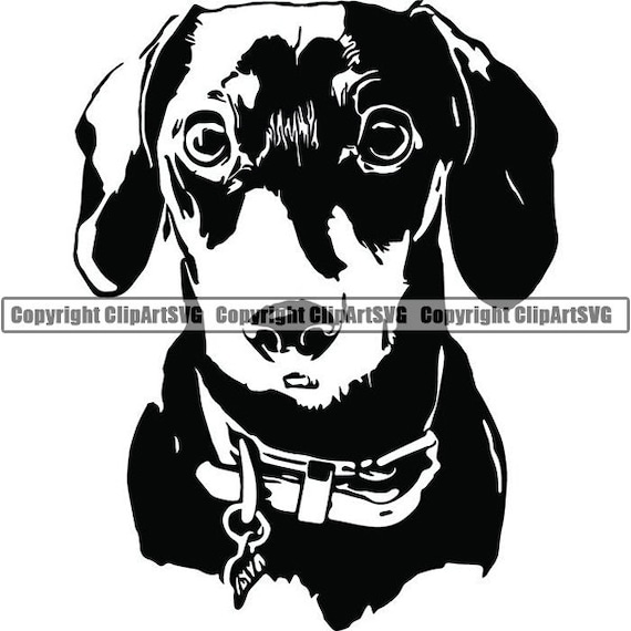 Dachshund 2 Dog Breed Wire Smooth Long Haired K 9 Animal Pet Etsy