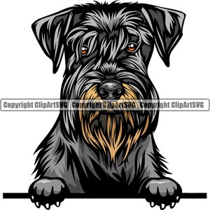 Schnauzer Hond Gluren Peek-A-Boo Ras Glimlachend Puppy Dier Huisdier Gelukkig Canine Schattig Miniatuur Giant Art Artwork LogoJPG PNG SVG Clipart Vector