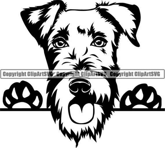 Pet Glasses USA Face dog SVG cricut Clipart Animal PNG American flag svg bundle dxf download peeking bandana Airedale terrier