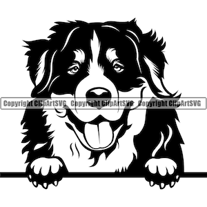 Berner Sennenhund Spähen Peek-A-Boo Pfote Welpe Welpe niedlich Haustier Kunst Bernhardiner Grossschweizer Berge Logo SVG PNG Clipart Vektor Schneiden Schneiden