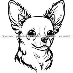Chihuahua Dog Head Puppy Face Canine Breed Pedigree Pet Portrait Paw Print Animal Cartoon Drawing Art Logo Tattoo Design SVG PNG Cut Cutting