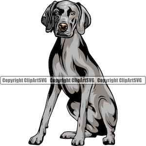 Weimaraner Hund Sit sitzend Rasse Glücklich Pfote Welpe Welpe Haustier Vizsla Deutsch Kurzhaar Englisch Pointer Logo SVG PNG Clipart Vektor Schneiden Schneiden