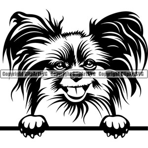 Papillon Perro Raza Peeking Peek-A-Boo Pedigrí Pura Raza K-9 Mascota Pomerania Pequinés Bichon Frise Logotipo SVG PNG Clipart Vector Corte Corte