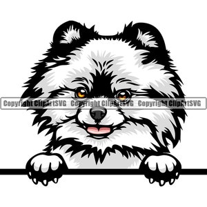 Pommeren hondenras gluren Peek-A-Boo Puppy dier huisdier Pup stamboom raszuivere Canine Artwork kleur Logo SVG PNG Clipart Vector knippen snijden