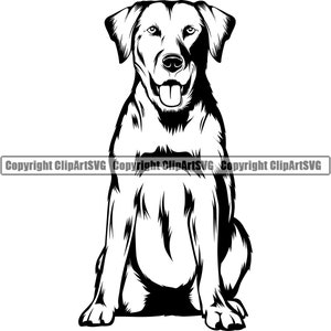 Labrador Pies Siedzenie Siedzenie Rasa Szczęśliwy Szczeniak Szczeniak Zwierzę Czystej Rasy Rodowód Sztuka K-9 Golden Retriever Logo SVG PNG Clipart Wektor Cricut Cięcie Cięcie