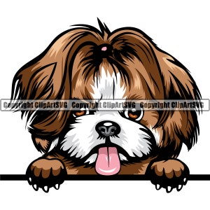 Shih Tzu Dog Breed Peeking Peek-A-Boo Puppy Pet Color Artwork Chihuahua Yorkshire Yorkie Maltese Pomeranian Art Logo PNG SVG Clipart Vector