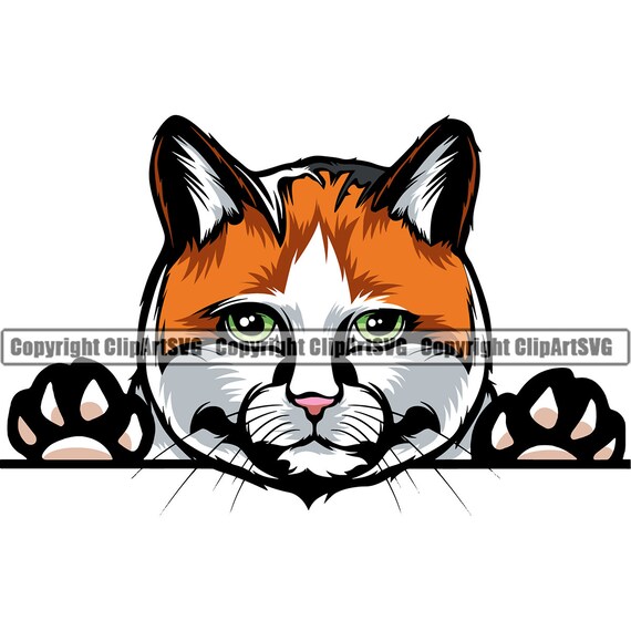  Cute Adorable Peeking Kitty Cat Kitten Cartoon Vinyl