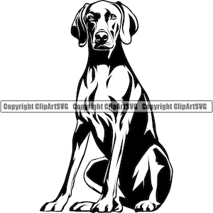 Weimaraner Dog Sit Sitting Breed Happy Paw Puppy Pup Pet Vizsla German Shorthaired English Pointer Logo SVG PNG Clipart Vector Cut Cutting