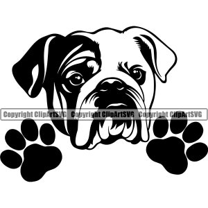 Engelse Bulldog hondenras gluren Peek-A-Boo Paw Puppy Pup huisdier kunst K9 Dogue de Bordeaux Bull Mastiff Logo SVG PNG Clipart Vector knippen snijden