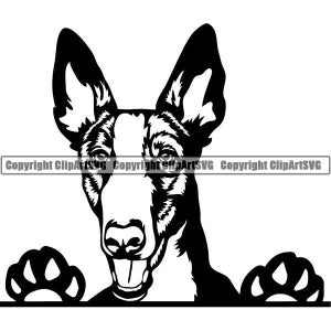Ibizan Hound #2 gluren hond gelukkig puppy poten stamboom Canine huisdier ras Podenco Ibicenco K-9 logo. SVG. PNG clipart vector Cricut knippen snijden
