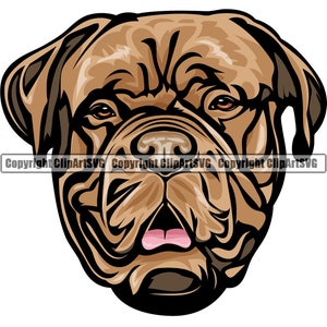Dogue De Bordeaux hondenras gelukkig puppy dier huisdier kleur artwork raszuivere stamboom Bull Mastiff Bulldog ontwerp logo PNG SVG clipart vector