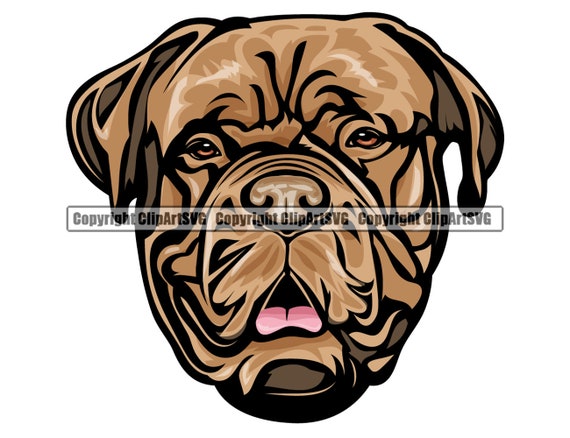 purebred dogue de bordeaux