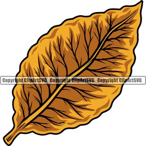 Tabaksblad roken Roll maken sigaar roker rook Label verlichte Bar boom Design Art Design Element Logo SVG PNG Vector Clipart knippen snijden bestand