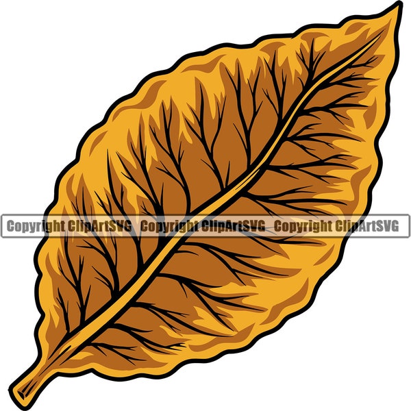 Tobacco Leaf Smoking Roll Make Cigar Smoker Smoke Label Lit Bar Tree Design Art Design Element Logo SVG PNG Vector Clipart Cut Cutting File