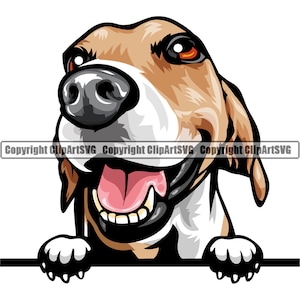 Puede incluir: Una ilustración de dibujos animados de un perro marrón y blanco con una gran sonrisa, asomando la cabeza y las patas sobre una superficie blanca. El perro tiene la lengua rosa fuera y los ojos muy abiertos.