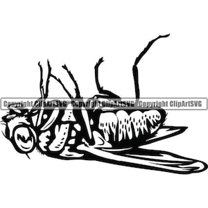 Puede incluir: Ilustración en blanco y negro de una mosca, vista desde abajo. La mosca está tumbada boca arriba, con las patas y las alas extendidas. La imagen presenta patrones detallados y el texto "Copyright ClipArtSVG" en la parte inferior.