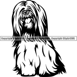 Lhassa Apso Chien Sit Assis Race Chiot Chiot Animal de compagnie Vieux Chien de berger anglais Maltais Shih Tzu Bichon Frise Havanais Logo SVG PNG Clipart Coupe Coupe