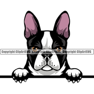 Boston Terriër hondenras gluren Peek-A-Boo gezicht Puppy Pup huisdier Art Canine Franse Bulldog Pug Bostie Logo SVG PNG Clipart Vector knippen snijden